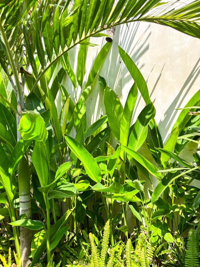 Las Flores Lombok Kuta  Esterno foto